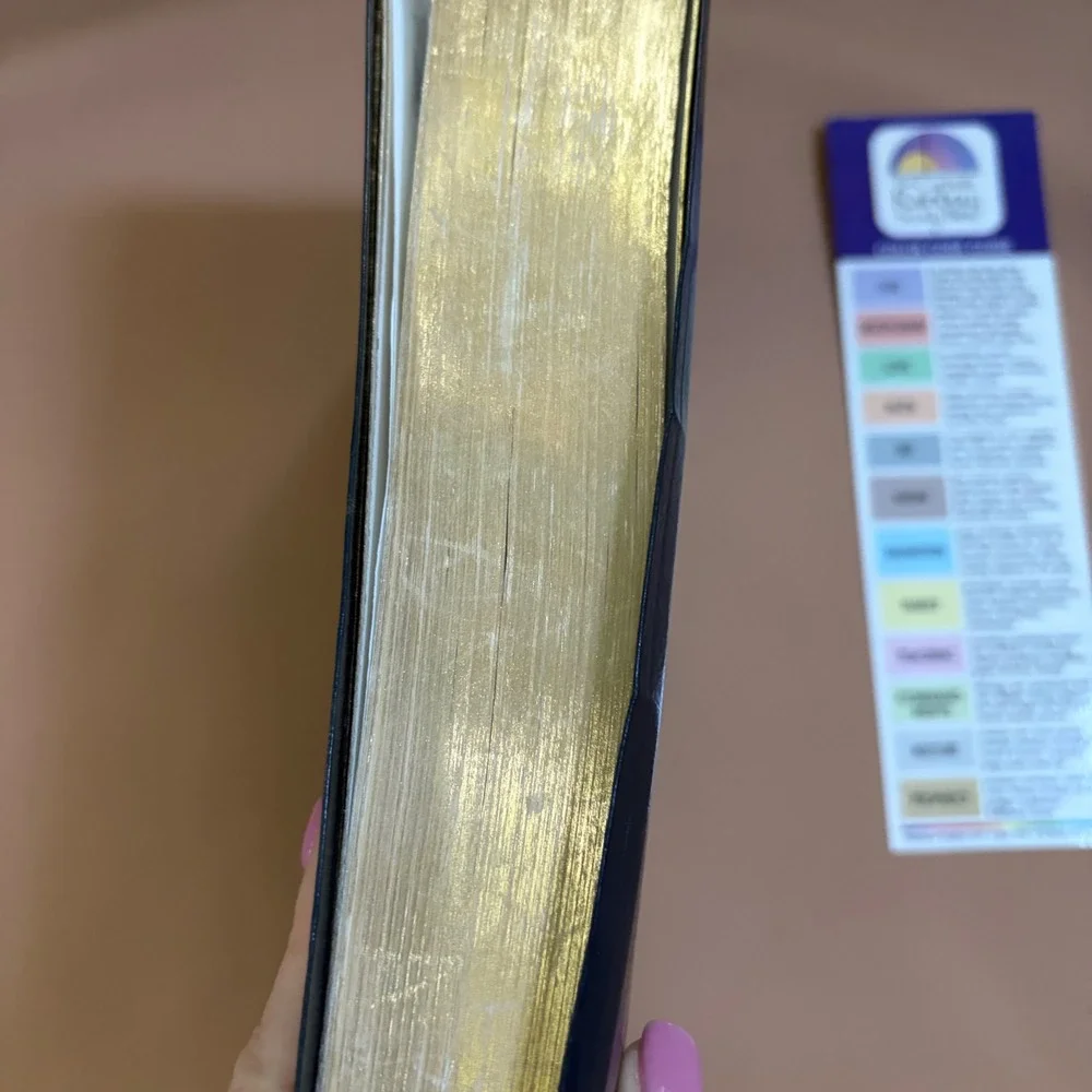 Rainbow Studies International catholic rainbow